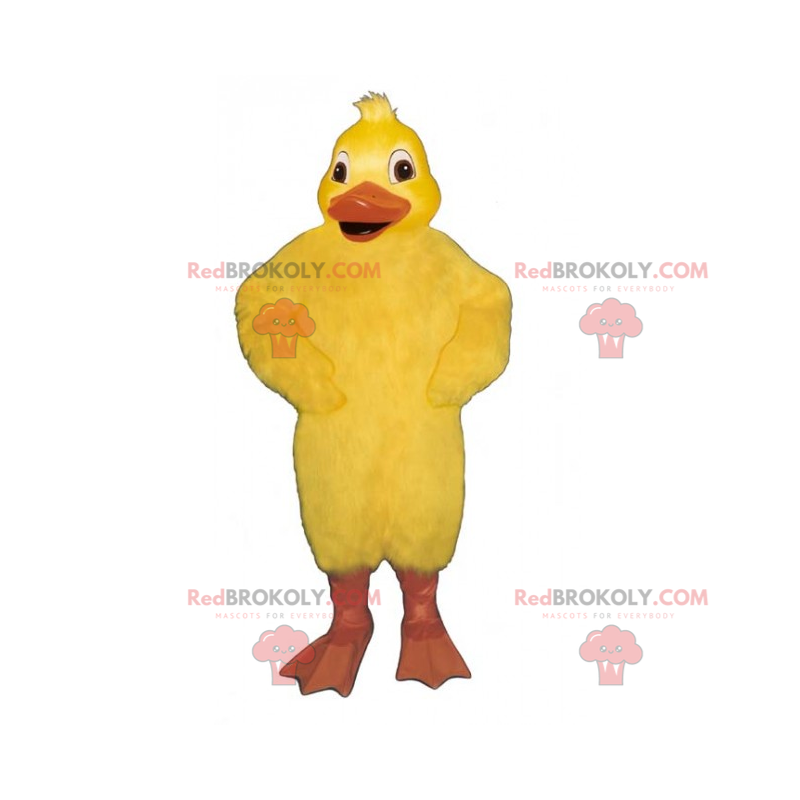 Mascota de pollito con pequeña bocanada - Redbrokoly.com