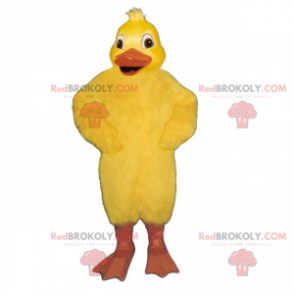Mascote de pintinho com puff pequeno - Redbrokoly.com