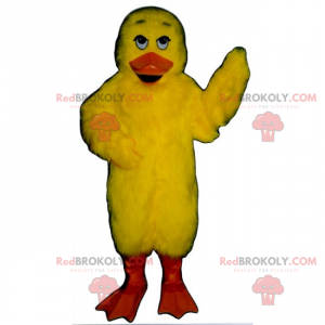 Gul chick maskot - Redbrokoly.com