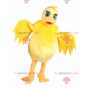 Gul kyckling för maskot med blå ögon - Redbrokoly.com