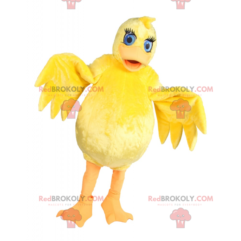 Gul kyckling för maskot med blå ögon - Redbrokoly.com