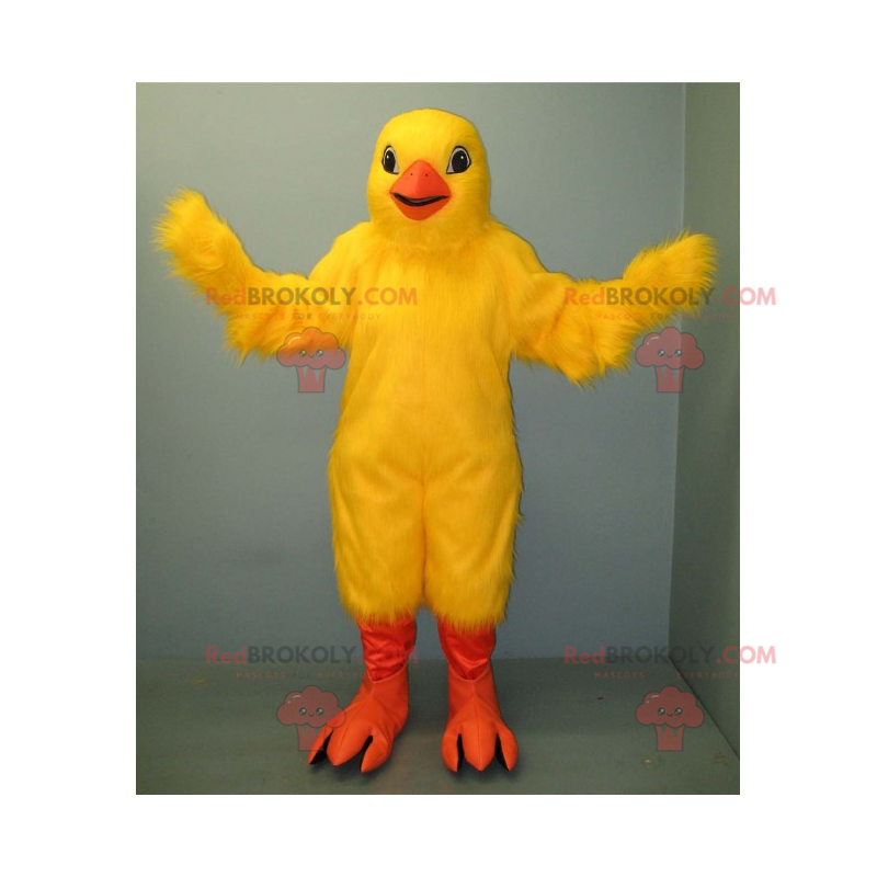 Mascote amarelo pinto e pernas laranja - Redbrokoly.com