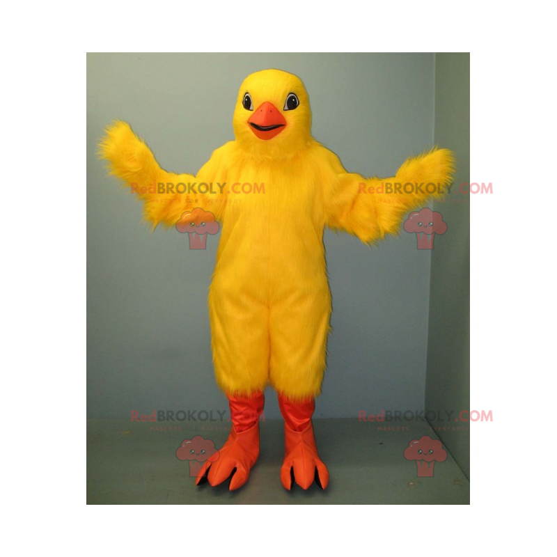 Mascotte de poussin jaune et pattes oranges - Redbrokoly.com