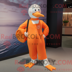 Oranje zeemeeuw...