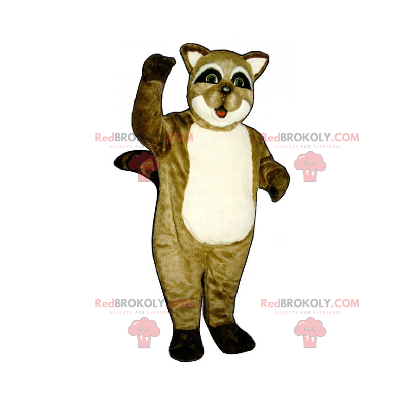 Mascote de guaxinim - Redbrokoly.com