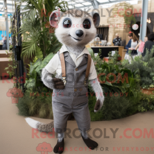 Silver Meerkat mascot...