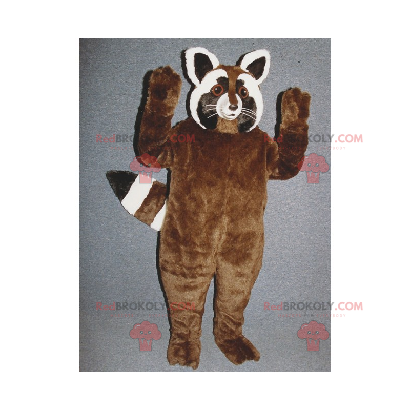 Mascota mapache marrón - Redbrokoly.com