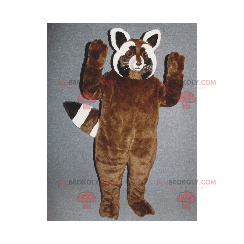 Mascotte procione marrone - Redbrokoly.com