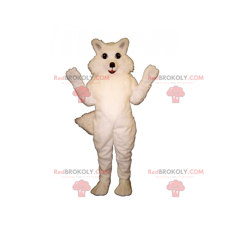 Mascote raposa branca - Redbrokoly.com