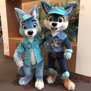 Turquoise Dingo...