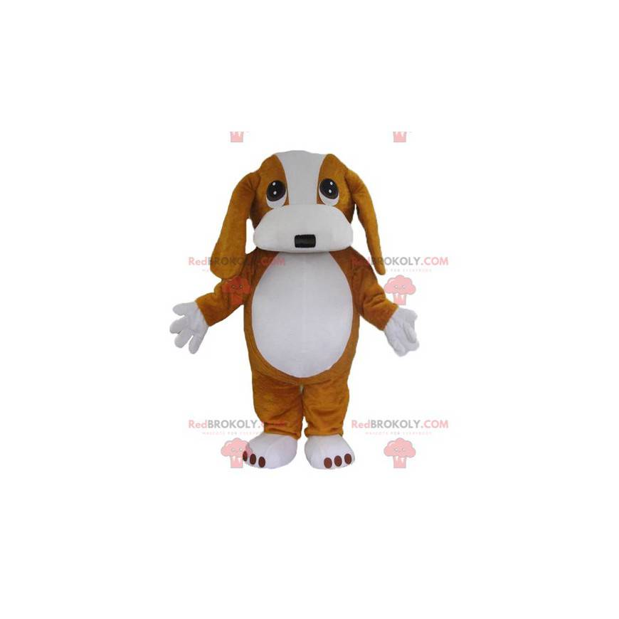 Mascota de perro marrón y blanco lindo y conmovedor -