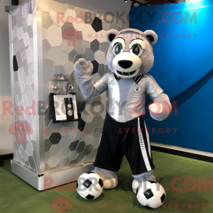 Silver Soccer Goal...