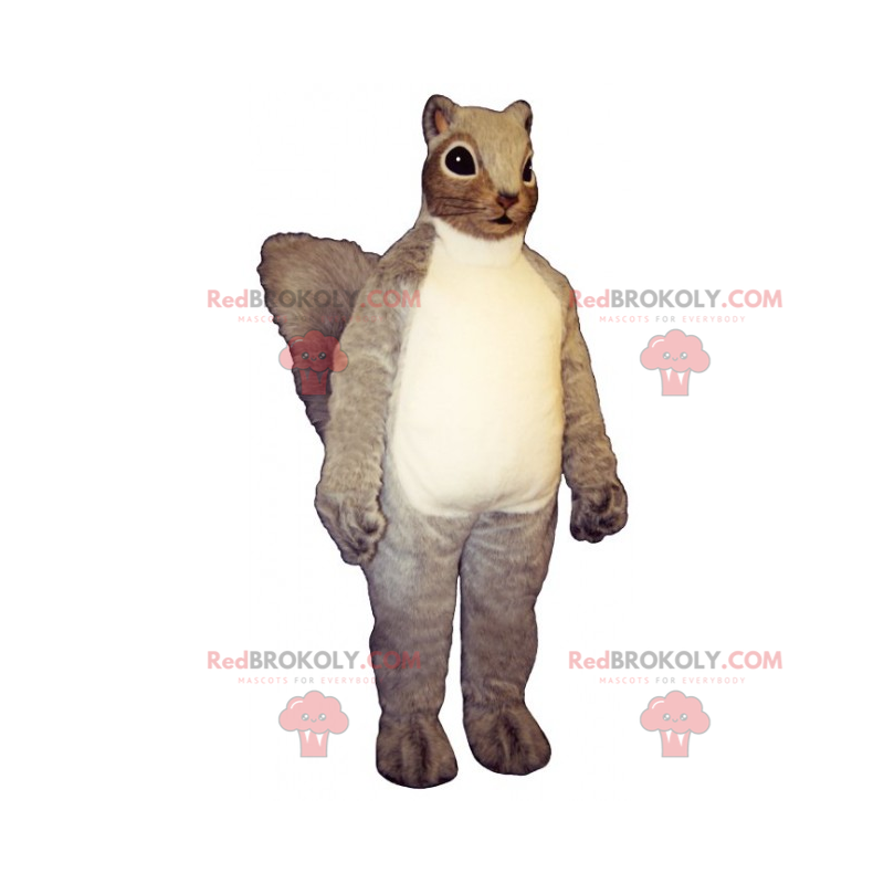 Langhaariges Eichhörnchen-Maskottchen - Redbrokoly.com