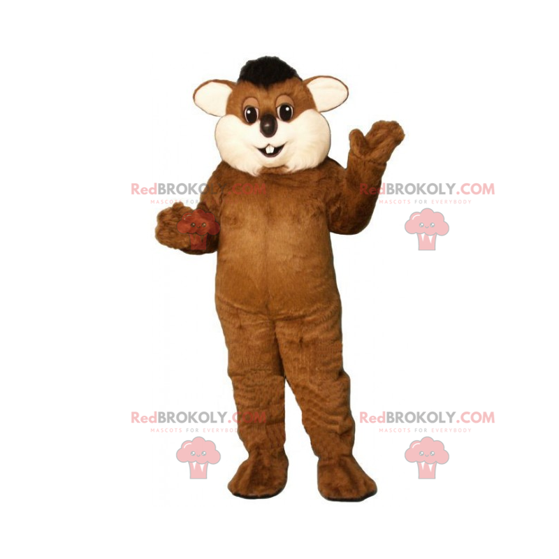 Mascotte de rongeur aux grosses joues - Redbrokoly.com