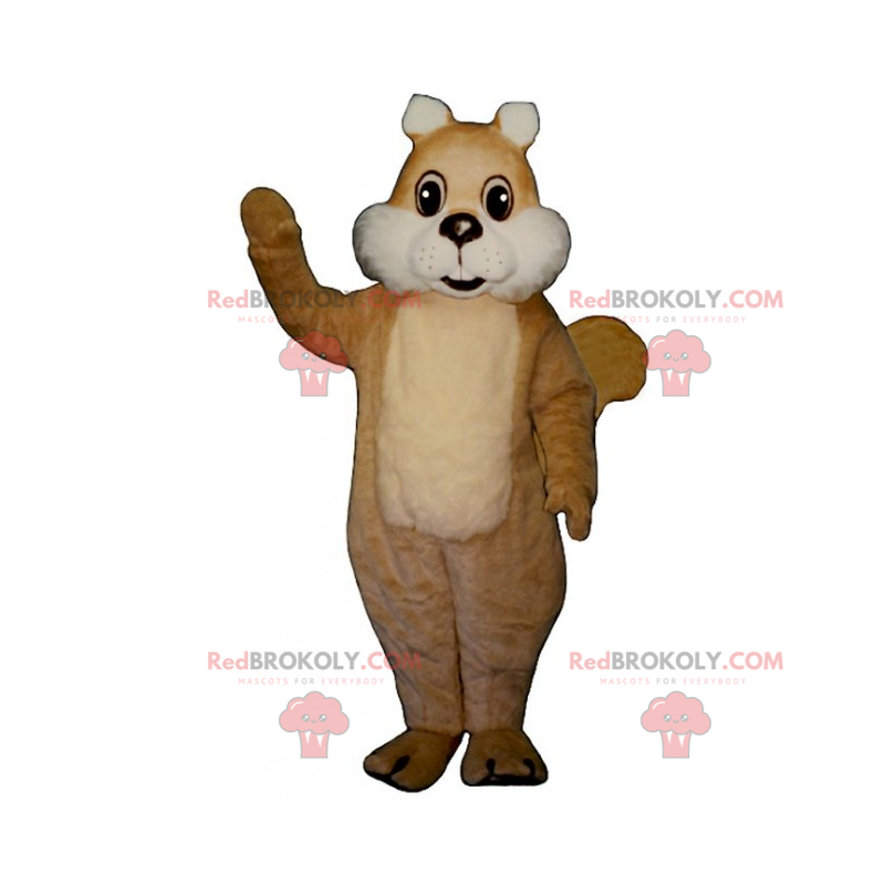 Eichhörnchen-Maskottchen mit weißen Wangen - Redbrokoly.com