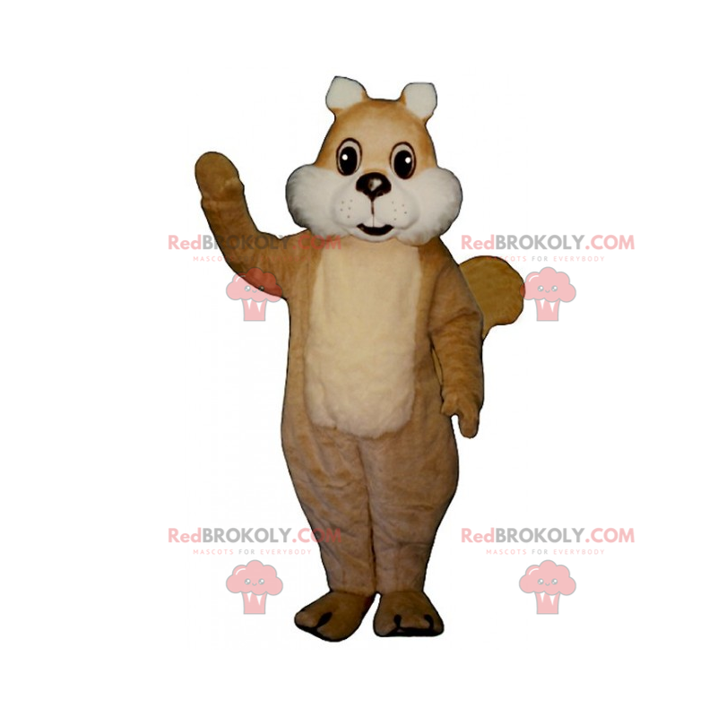 Esquilo mascote com bochechas brancas - Redbrokoly.com