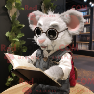 Sølv Dormus maskot drakt...