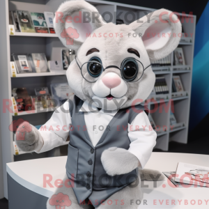 Sølv Dormus maskot drakt...