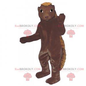 Mascota roedor con cresta larga - Redbrokoly.com