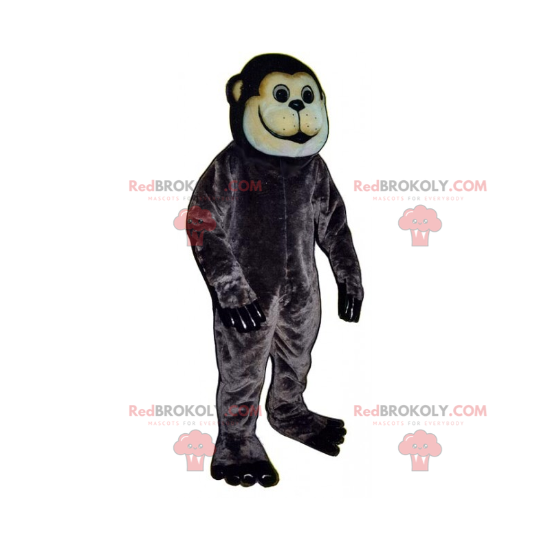 Mascote macaco de casaco macio - Redbrokoly.com