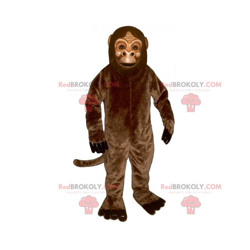 Mascota mono marrón clásico - Redbrokoly.com Mascota mono marrón clásico - Redbrokoly.com
