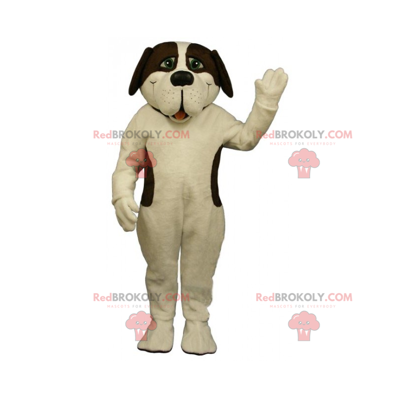 Mascot St. Bernard hvide og brune pletter - Redbrokoly.com