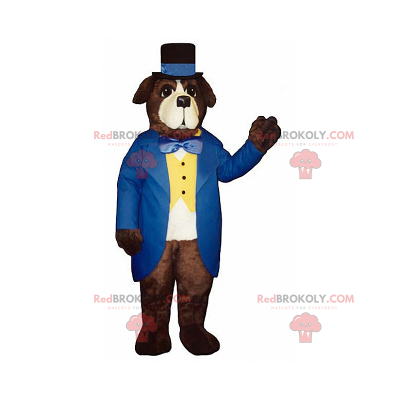 St. Bernard Maskottchen im blauen Galakleid - Redbrokoly.com