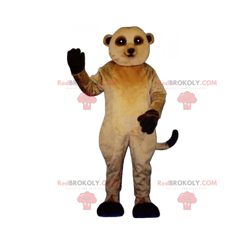 Mascote Meerkat com pernas pretas - Redbrokoly.com