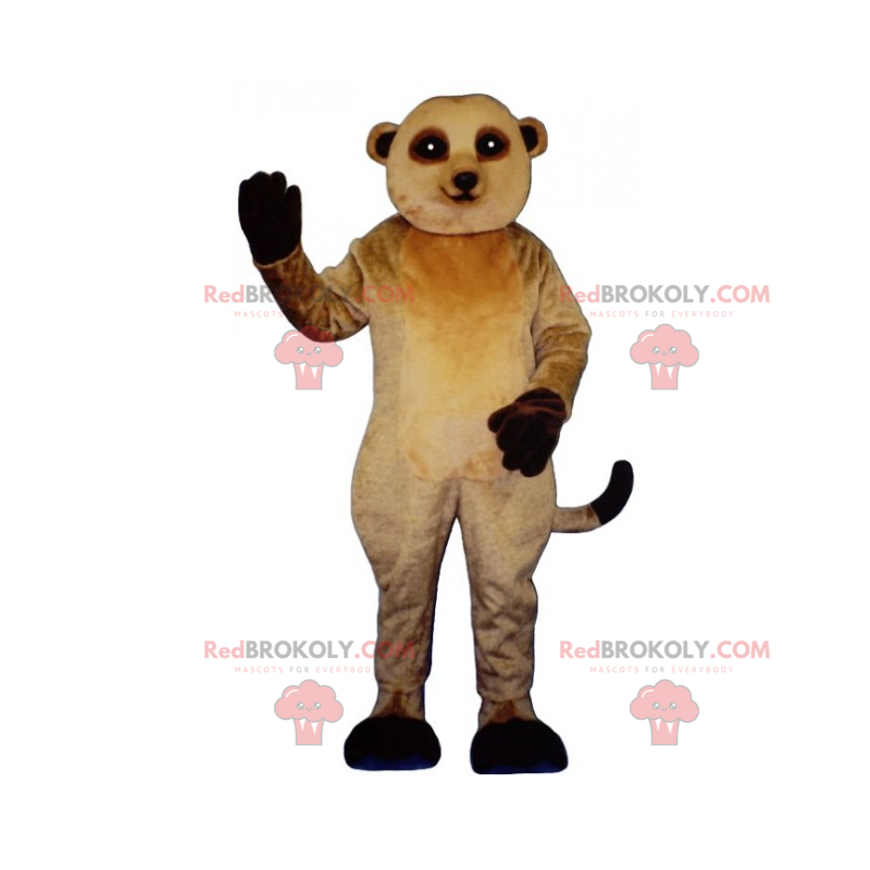 Mascotte di Meerkat con gambe nere - Redbrokoly.com