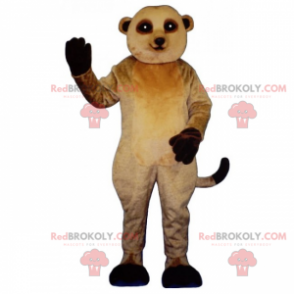 Meerkat mascotte met zwarte benen - Redbrokoly.com