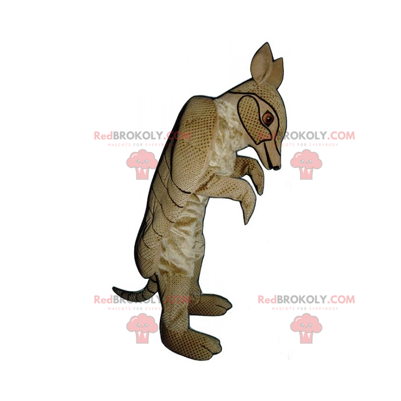 Armadillo mascot - Redbrokoly.com