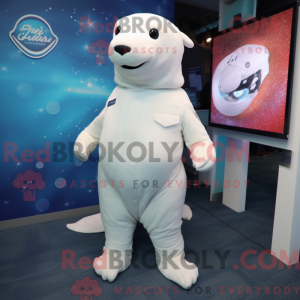 White Stellar S Sea Cow...