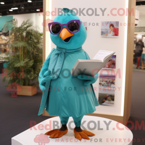 Turkis Pigeon maskot...