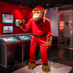 Costume de mascotte de...