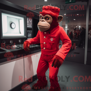 Rød chimpanse maskot...