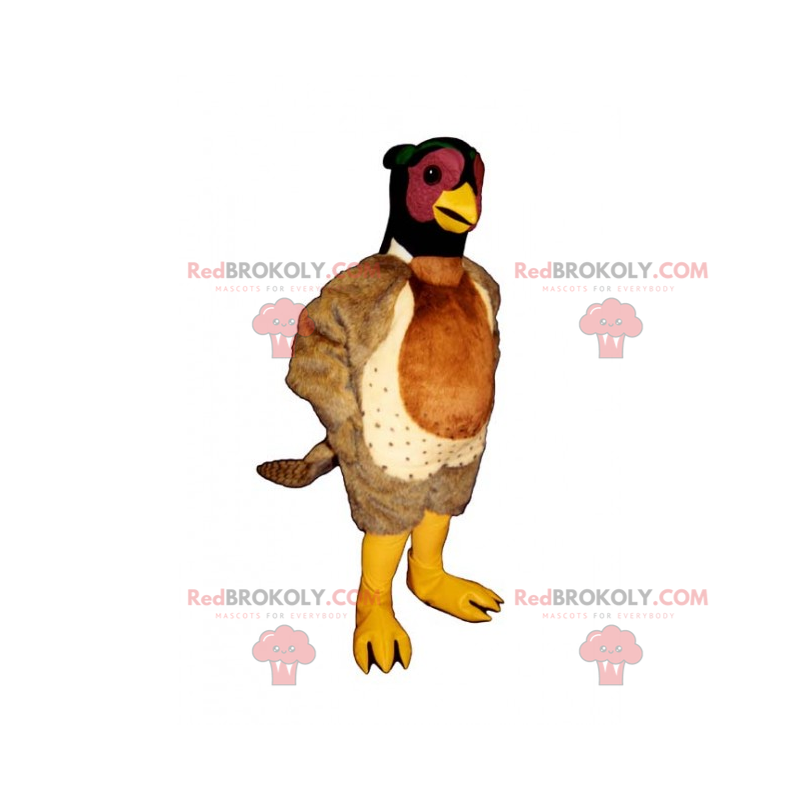Tricolor Gevogelte Mascotte - Redbrokoly.com