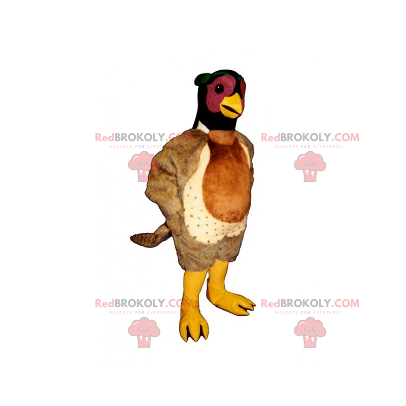 Tricolor poultry mascot - Redbrokoly.com