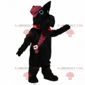 Mascota de Yorkshire con gorra - Redbrokoly.com