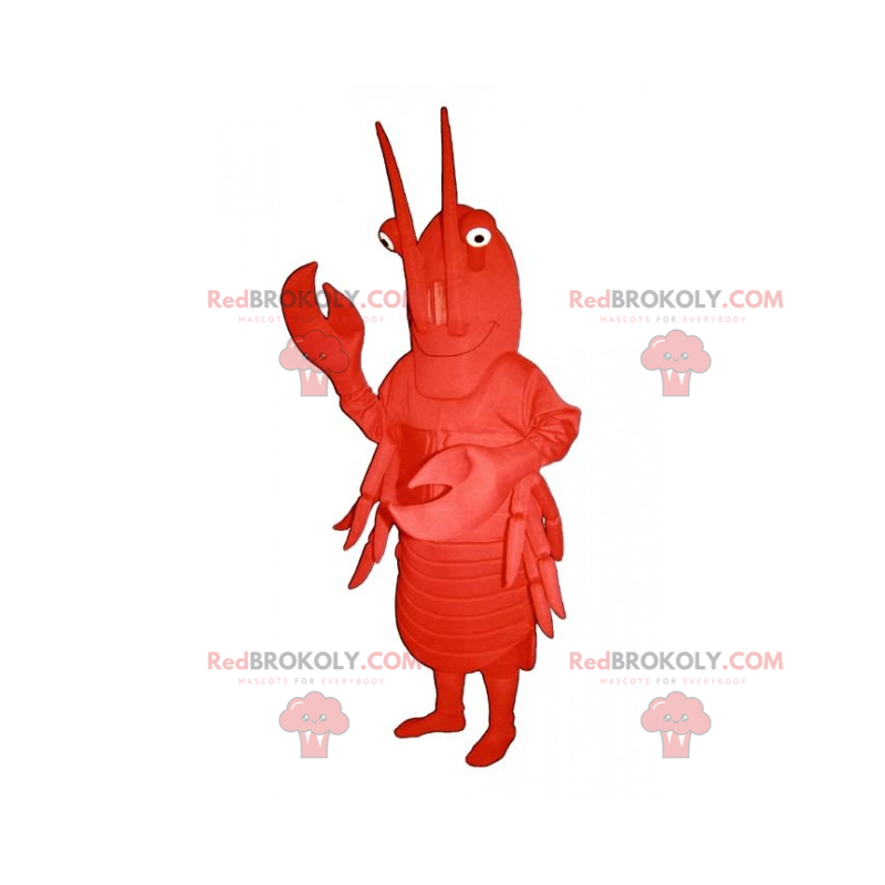 Mascotte d'écrevisse a grandes antennes - Redbrokoly.com Mascotte d'écrevisse a grandes antennes - Redbrokoly.com
