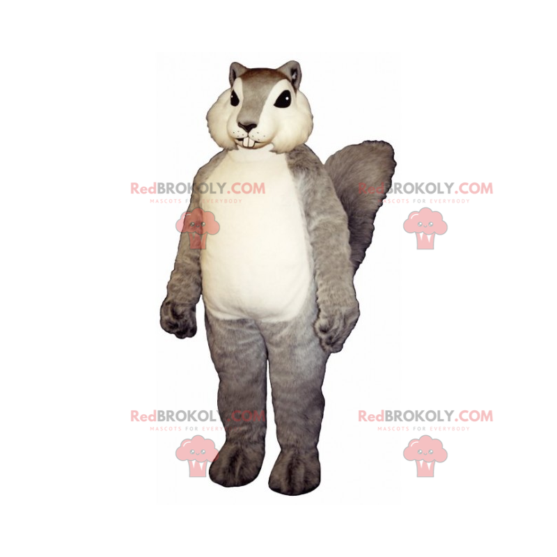 Esquilo mascote com pelo macio e sedoso - Redbrokoly.com