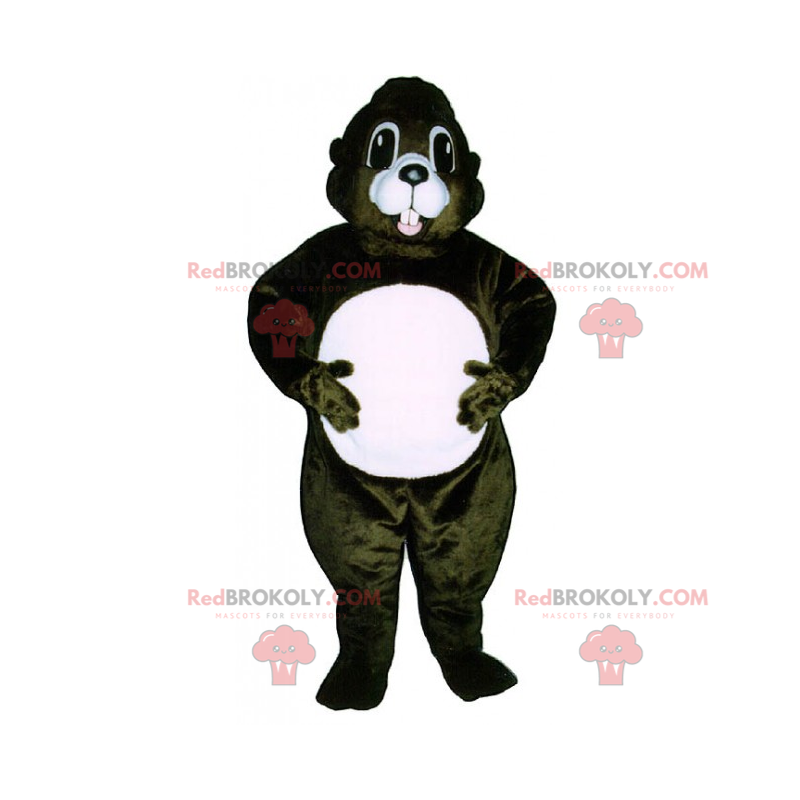 Egern maskot med en hvid mave - Redbrokoly.com Egern maskot med en hvid mave - Redbrokoly.com