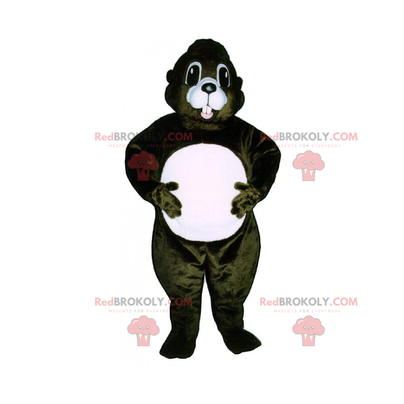 Ekorn maskot med en hvit mage - Redbrokoly.com