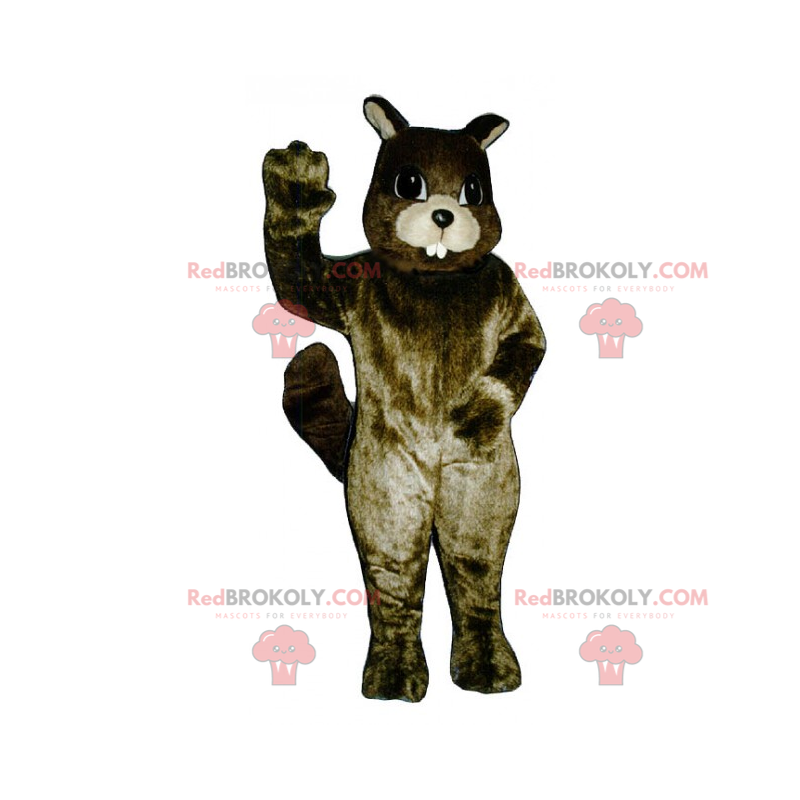 Mascotte d'écureuil aux grandes dents - Redbrokoly.com Mascotte d'écureuil aux grandes dents - Redbrokoly.com