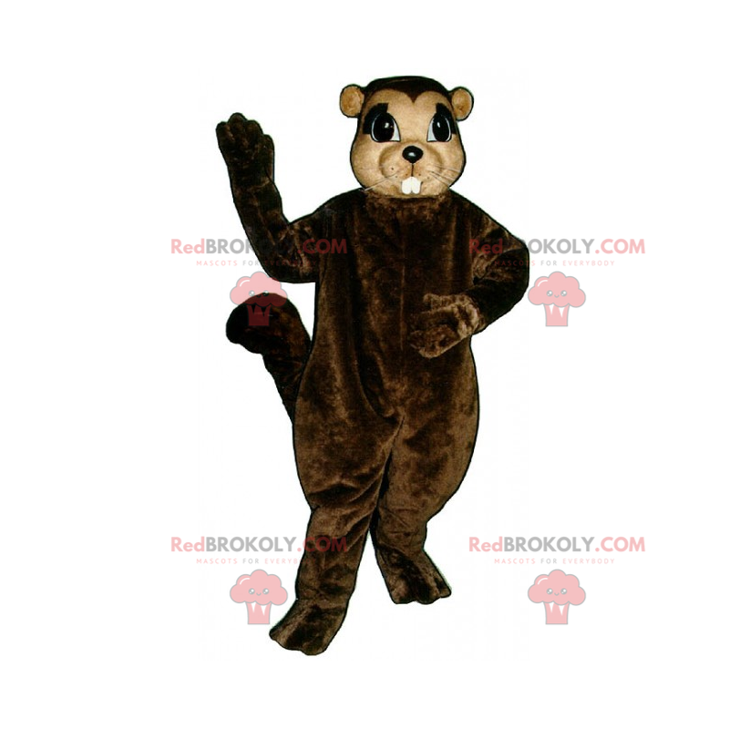 Eichhörnchen Maskottchen mit großen Augen - Redbrokoly.com