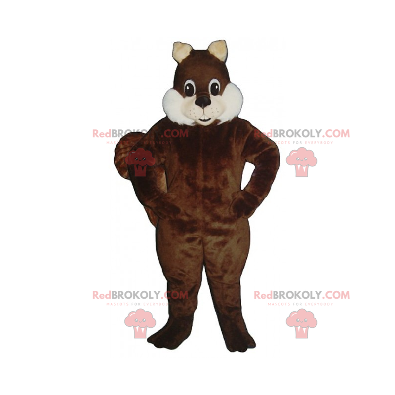 Esquilo mascote com bochechas brancas e macias - Redbrokoly.com