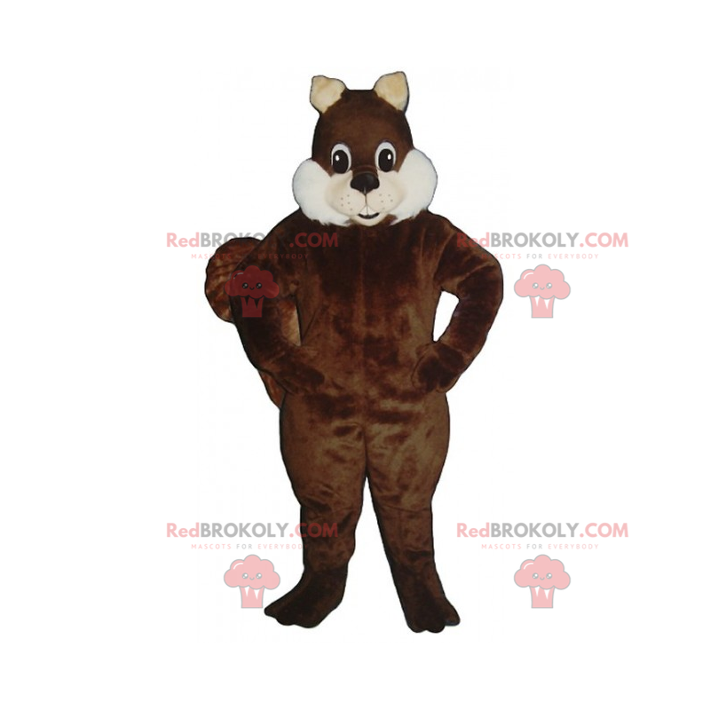 Veverka maskot s bílými a měkkými tvářemi - Redbrokoly.com Veverka maskot s bílými a měkkými tvářemi - Redbrokoly.com