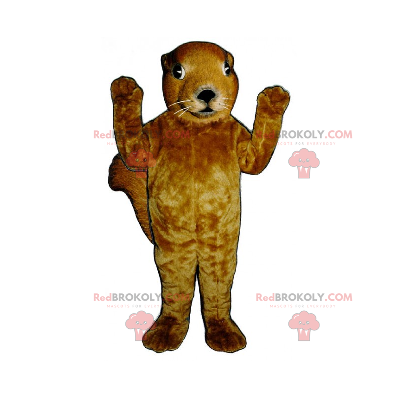 Ekorre maskot med vita morrhår - Redbrokoly.com Ekorre maskot med vita morrhår - Redbrokoly.com