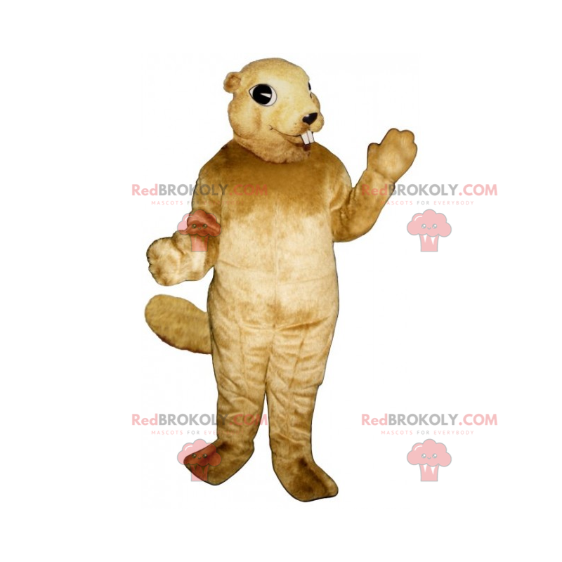 Egern maskot med små ører - Redbrokoly.com