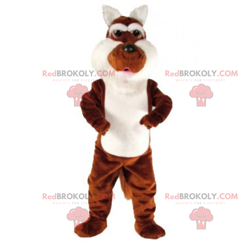 Braunes und weißes Eichhörnchenmaskottchen - Redbrokoly.com