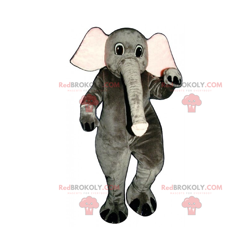 Elefant maskot med lang bagagerum - Redbrokoly.com